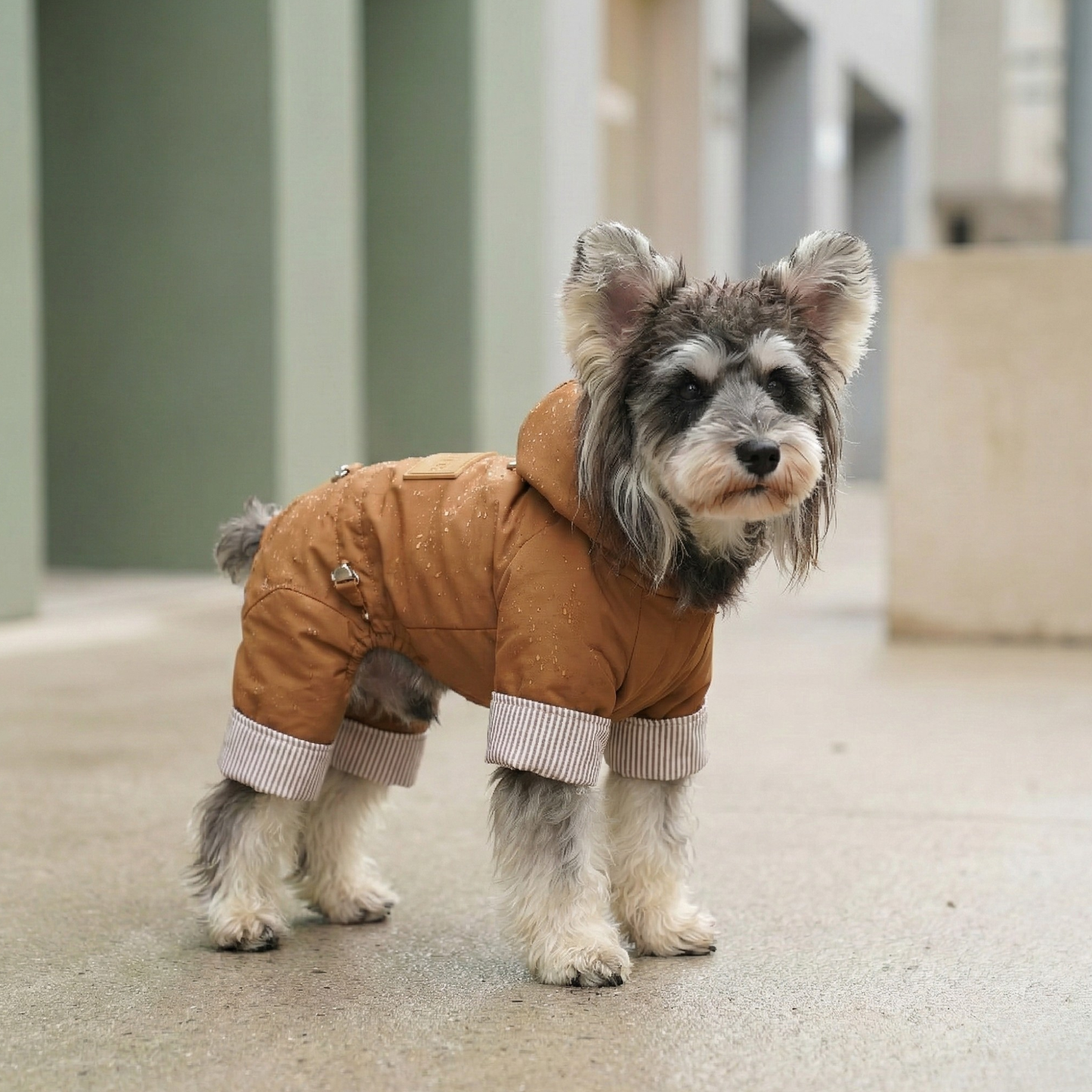 SØRE Dog Rain Jacket